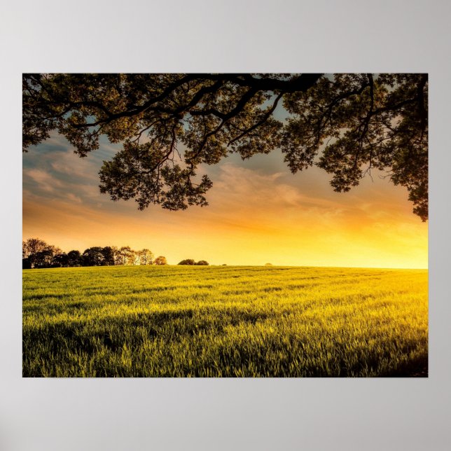 Sonnenuntergang in einem ländlichen Landschaftspop Poster (Vorne)