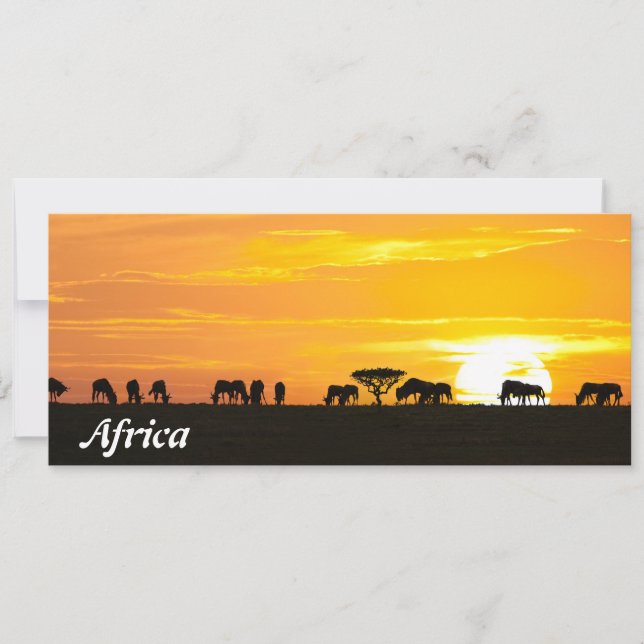 Sonnenuntergang in Serengeti (Vorderseite)