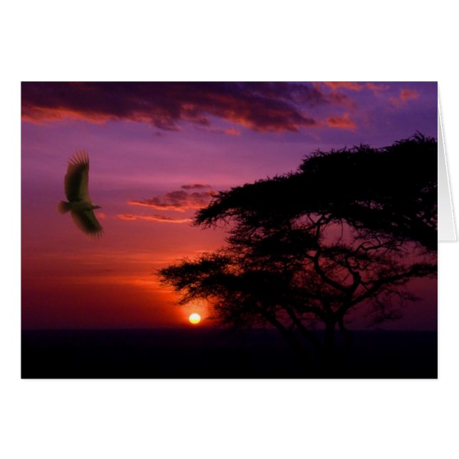 Sonnenuntergang in Serengeti, Tansania (Vorderseite (Horizontal))