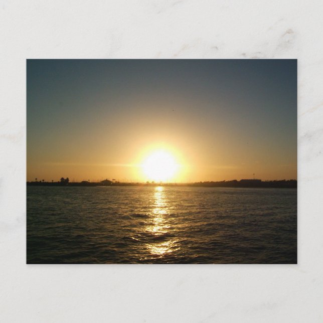 Sonnenuntergang in Tampa florida Postkarte (Vorderseite)