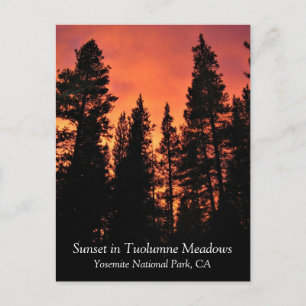 Sonnenuntergang in Tuolumne Meadows, Yosemite, CA  Postkarte