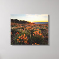 Sonnenuntergang in Wyoming Indian Paintbrush Mount