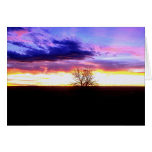 Sonnenuntergang jenseits des Baumes_