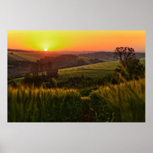 Sonnenuntergang Landwirtschaft Weizen Poster