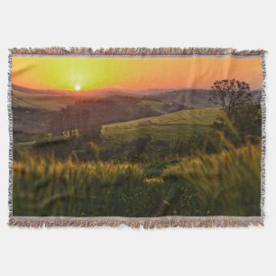 Sonnenuntergang-Landwirtschafts-Weizen Decke