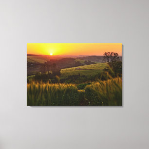 Sonnenuntergang-Landwirtschafts-Weizen Leinwanddruck