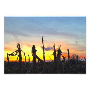 Sonnenuntergang-Mais-Feld Fotodruck