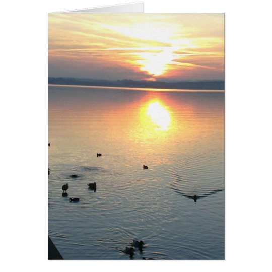 Sonnenuntergang mit Enten im See,Grusskarte,blanko Karte
