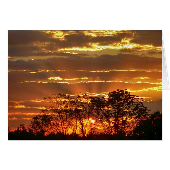 Sonnenuntergang mit goldenen Strahlen durch Bäume (Vorderseite (Horizontal))