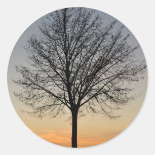 Sonnenuntergang mit kleinen Bäumen, Baum Sonnenunt Runder Aufkleber