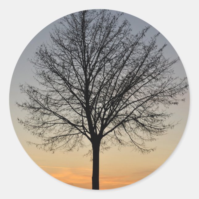 Sonnenuntergang mit kleinen Bäumen, Baum Sonnenunt Runder Aufkleber (Vorderseite)