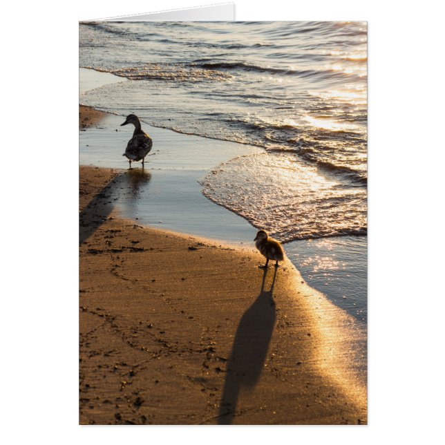 Sonnenuntergang mit Mami (Vorne)