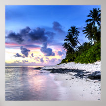 Sonnenuntergang mit Palmen und felsigem Strand