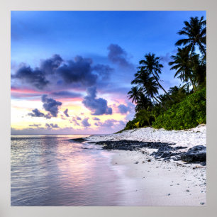 Sonnenuntergang mit Palmen und felsigem Strand Poster