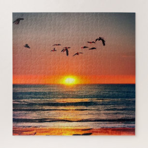 Sonnenuntergang mit Vögeln