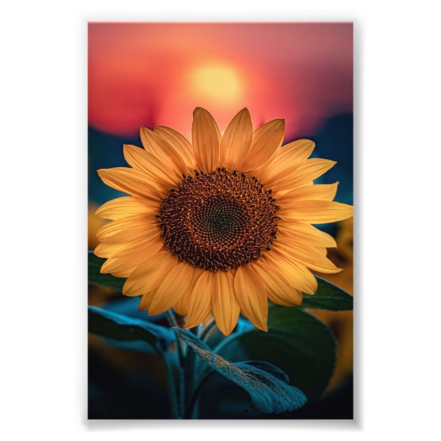 Sonnenuntergang - Niedliches Sonnengeschenk für Da Fotodruck (Vorne)