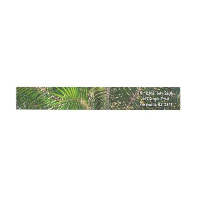 Sonnenuntergang Palm Fronds Tropical (Person)