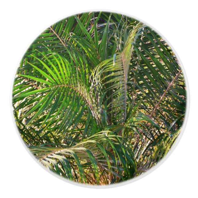 Sonnenuntergang Palm Fronds Tropical Keramikknauf (Vorderseite)