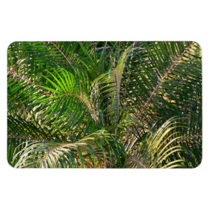 Sonnenuntergang Palm Fronds Tropical Magnet