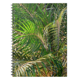 Sonnenuntergang Palm Fronds Tropical Notizblock