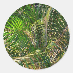Sonnenuntergang Palm Fronds Tropical Runder Aufkleber