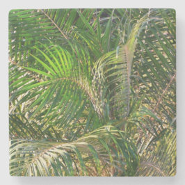 Sonnenuntergang Palm Fronds Tropical Steinuntersetzer
