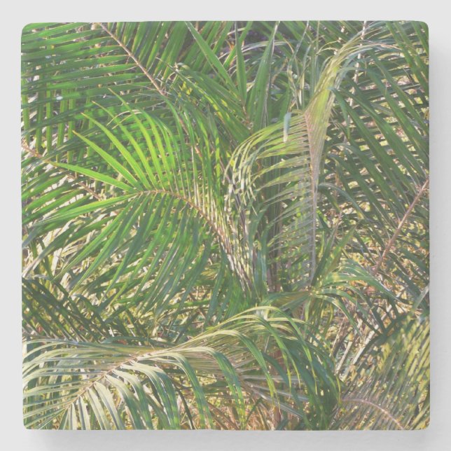 Sonnenuntergang Palm Fronds Tropical Steinuntersetzer (Vorderseite)