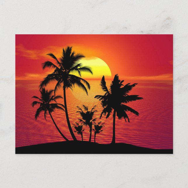 Sonnenuntergang Palmen Silhouette-16514 Postkarte (Vorderseite)
