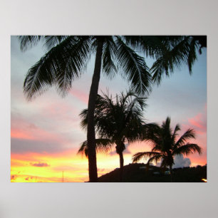 Sonnenuntergang Palmen tropische Landschaftsfotogr Poster