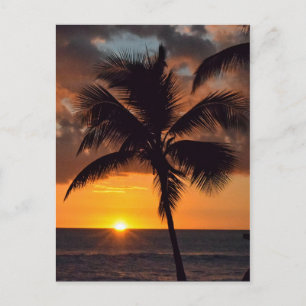 Sonnenuntergang, Palmen und die Strandpostkarte Postkarte