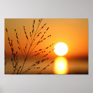 Sonnenuntergang Poster
