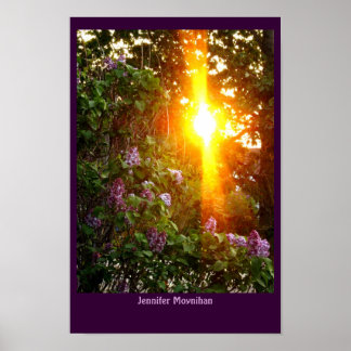 Sonnenuntergang Poster