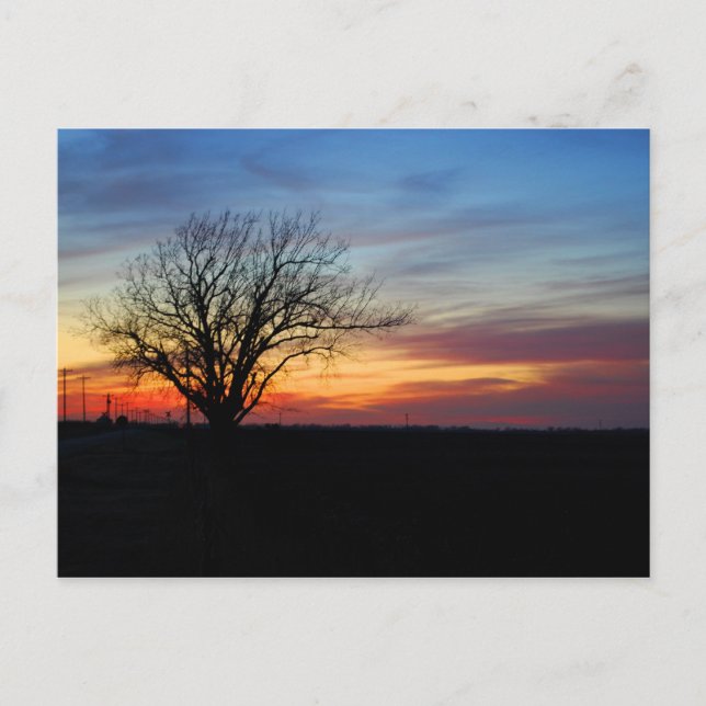 Sonnenuntergang Postkarte (Vorderseite)