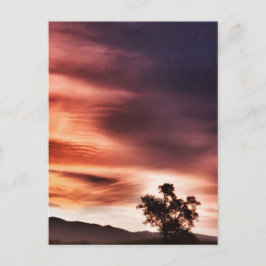 Sonnenuntergang" Postkarte