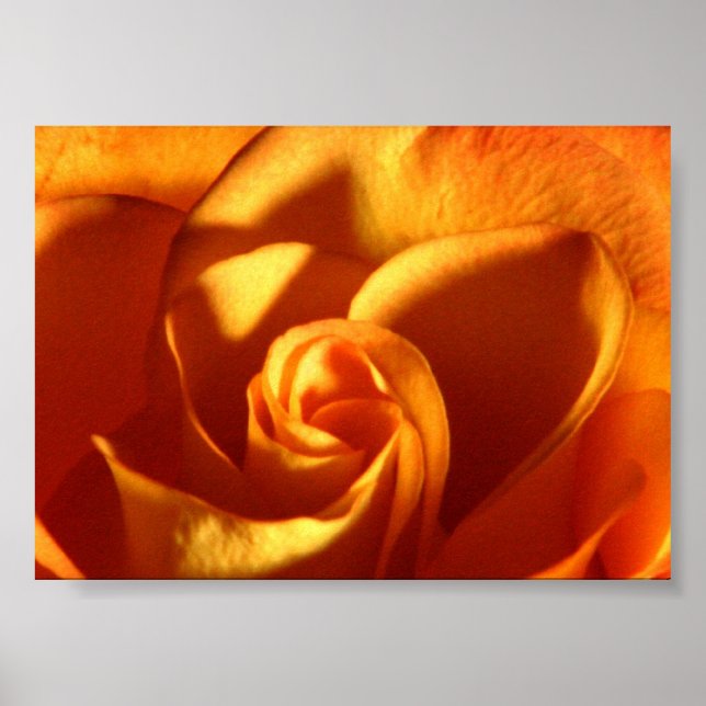 Sonnenuntergang Rose Schöne Naturfotografie Poster (Vorne)