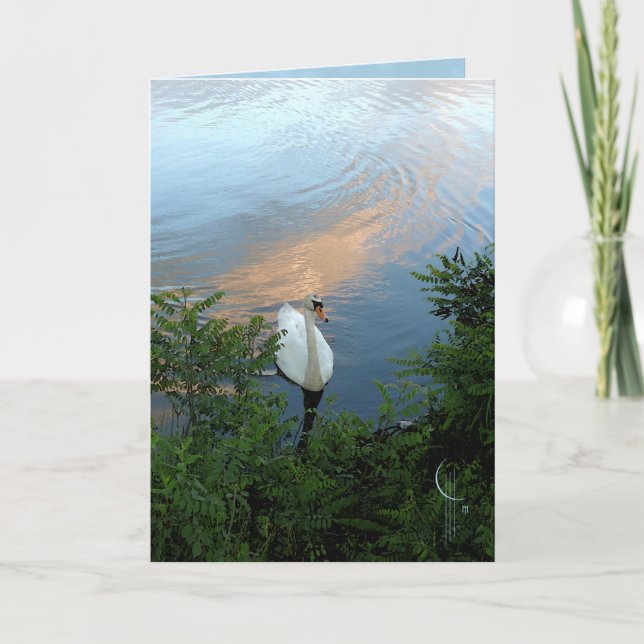 Sonnenuntergang-Schwan Karte (Vorderseite)