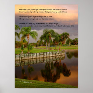 Sonnenuntergang Seevögel knallt Gedicht Poster