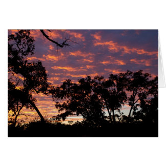 Sonnenuntergang Silhouette