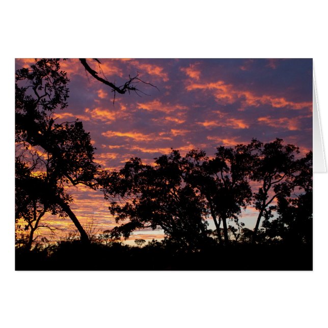 Sonnenuntergang Silhouette (Vorderseite (Horizontal))