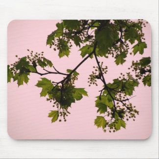 Sonnenuntergang-Silhouette Mousepad