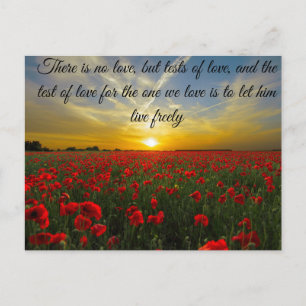 Sonnenuntergang Sonne Postkarte