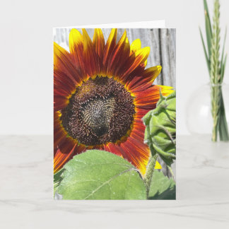 Sonnenuntergang Sonnenblume Einladung