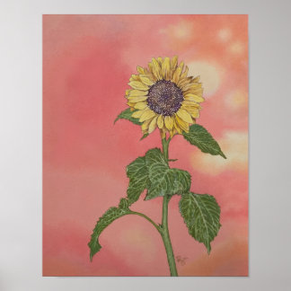 Sonnenuntergang Sonnenblume Poster