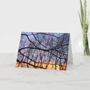 Sonnenuntergang u. eine rote karte