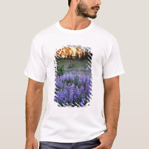 Sonnenuntergang über dem Berg Adams und einer suba T-Shirt