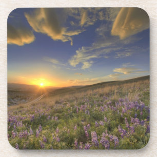Sonnenuntergang über dem Bitterroot Gebirge und ri Getränkeuntersetzer