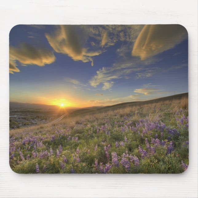 Sonnenuntergang über dem Bitterroot Gebirge und ri Mousepad (Vorne)