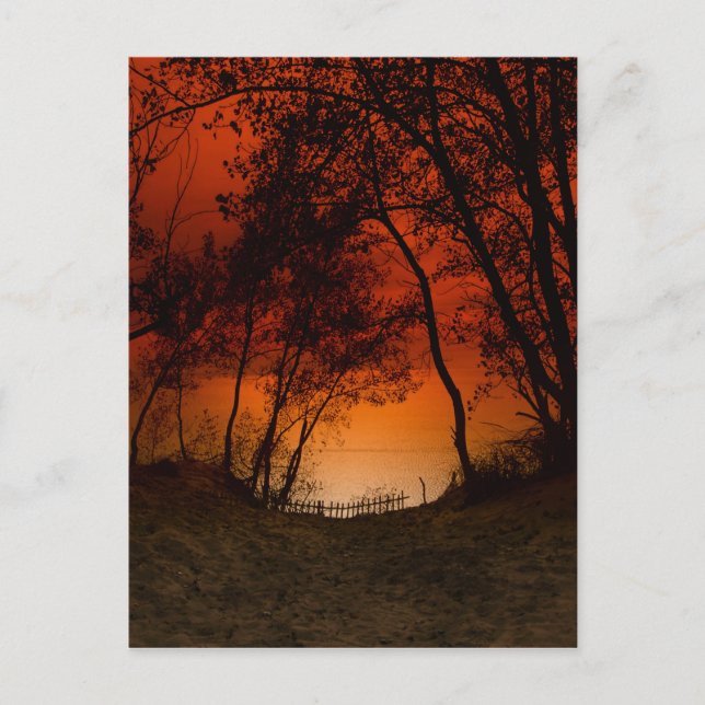 Sonnenuntergang über dem Lake Michigan Dünen Postkarte (Vorderseite)
