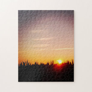 Sonnenuntergang über dem Maisfeld