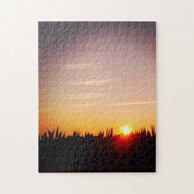 Sonnenuntergang über dem Maisfeld (Vertikal)